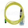 BlueOptics CBL-MPO12-4LC-SMF-7M-BO InfiniBand fibre optic cable 7.5 m MPO 4x LC
