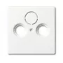 Wall plate cover, Busch-Jaeger 1743-884, white, conventional design, 63×63 mm