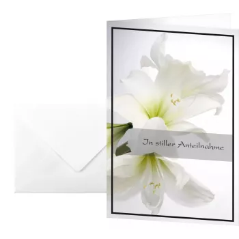 Greeting/Sympathy Card Sigel DS006