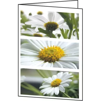 Greeting Card Sigel DC171
