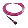 BlueOptics CBL-MPO12-4LC-OM4-5M-BO InfiniBand fibre optic cable 4x LC MPO 5m