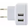 Charger AC Indoor Schwaiger LAD230 531
