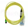 MPO-4xLC Singlemode Patch Cable BlueOptics CBL-MPO12-4LC-SMF-2M 2m G.657.A1