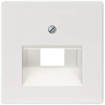 Siemens 5TG2545 wall plate/switch cover
