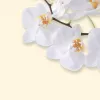 Art Paper Sigel DP904 50 Sheets