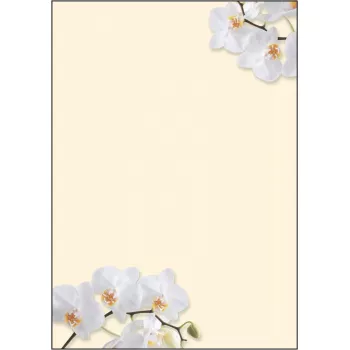 Art Paper Sigel DP904 50 Sheets