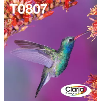 Ink Cartridge Multipack Epson Hummingbird T0807 — 6 colours (Black, Cyan, Light Cyan, Light Magenta, Magenta, Yellow)