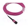 BlueOptics EMC CBL-MPO12-4LC-OM4-2M Fibre Optic Cable MPO 4x LC 2m