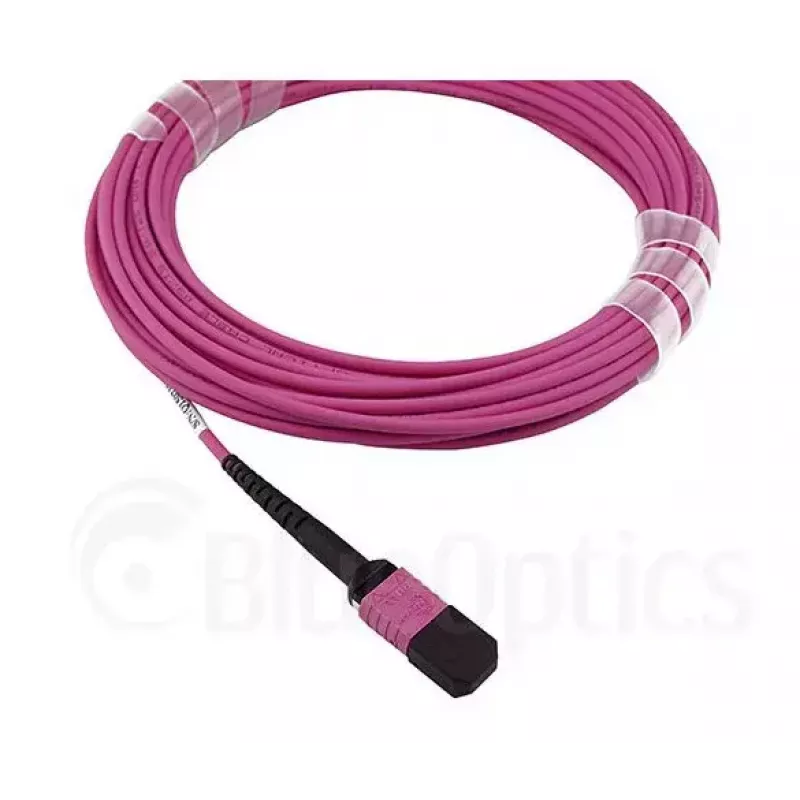 BlueOptics EMC CBL-MPO12-4LC-OM4-2M Fibre Optic Cable MPO 4x LC 2m