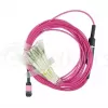 BlueOptics EMC CBL-MPO12-4LC-OM4-2M Fibre Optic Cable MPO 4x LC 2m