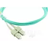 BlueOptics InfiniBand/fibre optic cable 10 m 2x LC 2x SC LC/APC