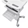 Multimedia cart Ergotron StyleView Aluminium Grey White