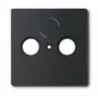 Busch-Jaeger 1743-885 Cover Plate for Antenna Sockets with 2 Connections, Black