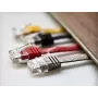 Networking Cable ShiverPeaks Cat. 6 2m