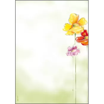 Art Paper Sigel DP123 50 Sheets