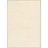 Art Paper Sheets Sigel DP605 100 Sheets Beige 90 g/m²