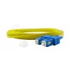 BlueOptics CAB-SMF-SC-SC-3-BO InfiniBand Fibre Optic Cable 3 m SC Connector