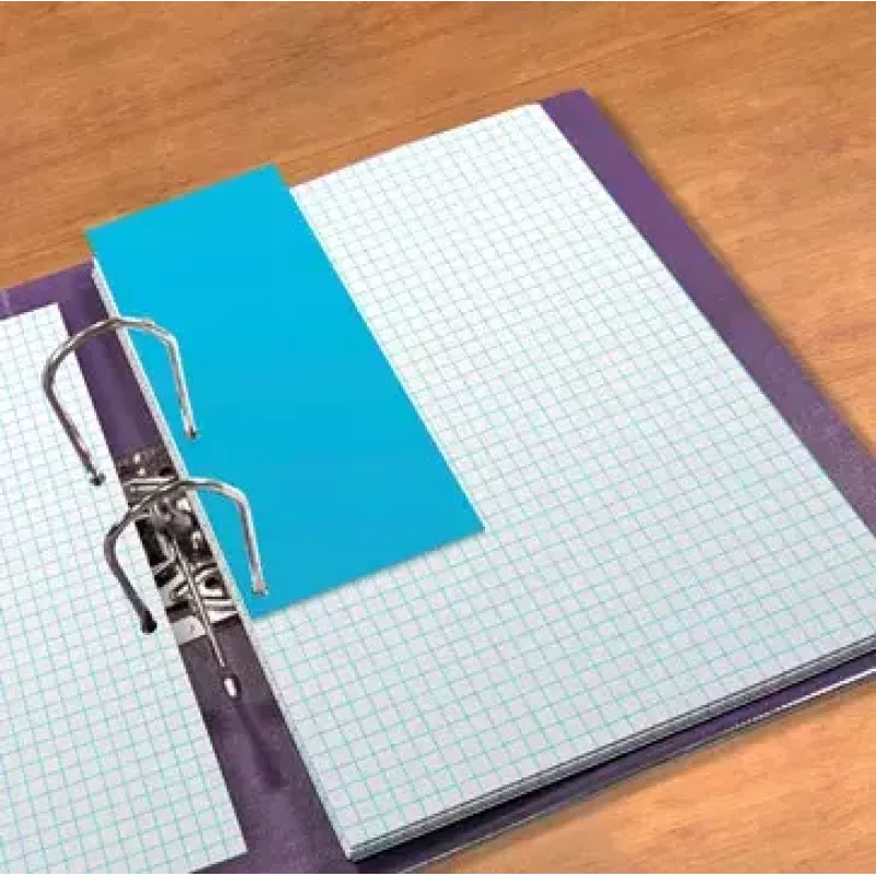 Elba 240x105 mm Blue Carton Document Holder