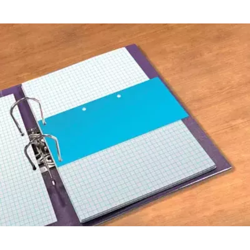 Elba 240x105 mm Blue Carton Document Holder