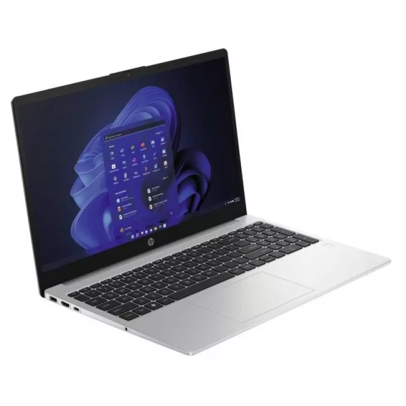 HP 250 G10 Intel® N N100 Laptop 39.6 cm (15.6 inch) Full HD 8 GB DDR4-SDRAM 256 GB SSD Wi-Fi 6 (802.11ax) Windows 11 Home Silver