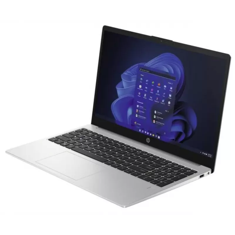HP 250 G10 Intel® N N100 Laptop 39.6 cm (15.6 inch) Full HD 8 GB DDR4-SDRAM 256 GB SSD Wi-Fi 6 (802.11ax) Windows 11 Home Silver
