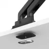Monitor arm BenQ BDH01 Dual adjustable height, black, VESA compatible