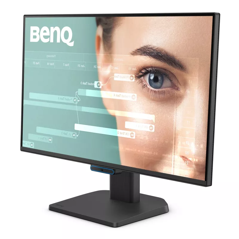Computer monitor BenQ GW2490C 23.8 inch (60.5 cm) Full HD 1920×1080 5 ms 178° VESA Black with speakers
