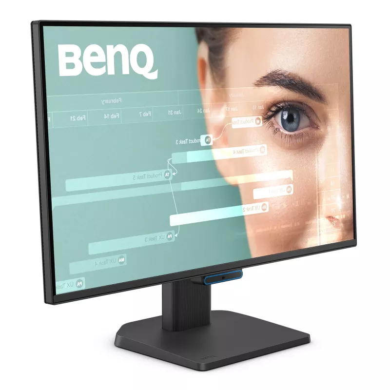 Computer monitor BenQ GW2490C 23.8 inch (60.5 cm) Full HD 1920×1080 5 ms 178° VESA Black with speakers