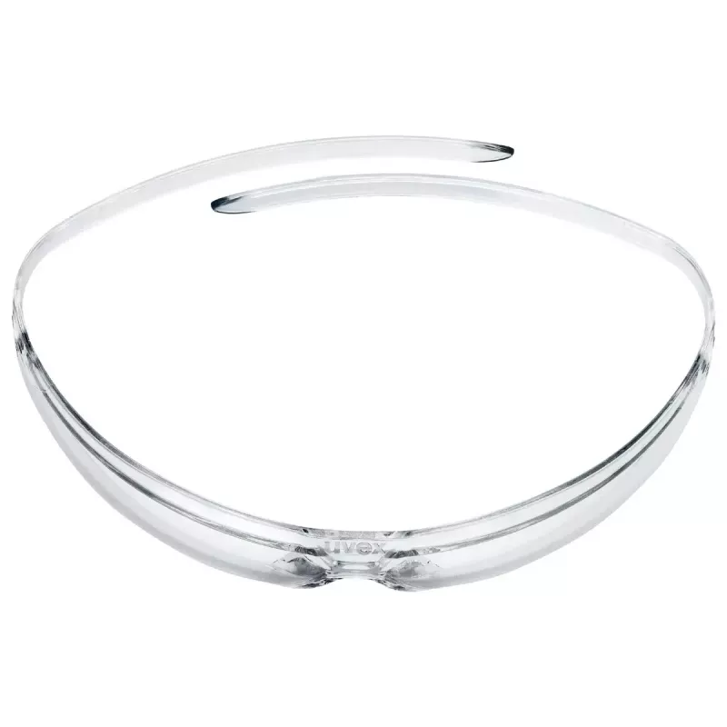 Safety glasses Uvex pure-fit Transparent Polycarbonate CE Certified