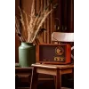 Portable radio Adler AD 1171 — AM/FM, 10 W RMS, Bluetooth, external antenna, bronze, 290×200×172 mm
