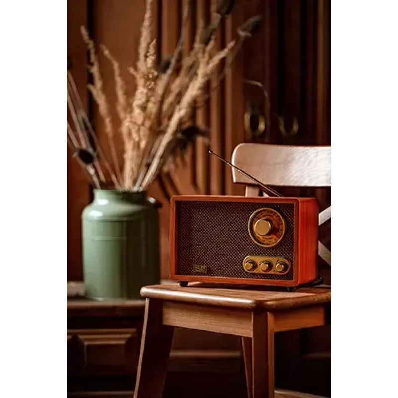 Portable radio Adler AD 1171 — AM/FM, 10 W RMS, Bluetooth, external antenna, bronze, 290×200×172 mm