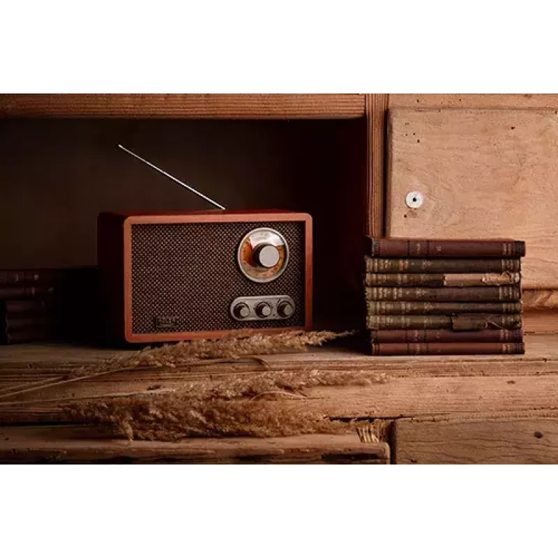 Portable radio Adler AD 1171 — AM/FM, 10 W RMS, Bluetooth, external antenna, bronze, 290×200×172 mm