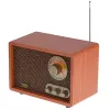 Portable radio Adler AD 1171 — AM/FM, 10 W RMS, Bluetooth, external antenna, bronze, 290×200×172 mm