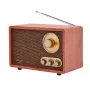Portable radio Adler AD 1171 — AM/FM, 10 W RMS, Bluetooth, external antenna, bronze, 290×200×172 mm