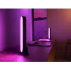 Philips Hue Play light bars starter kit — 2 Play light bars + Hue Bridge Pro, Bluetooth, black, Type C plug