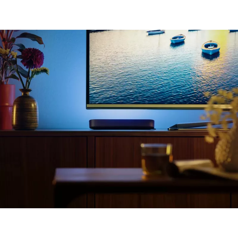 Philips Hue Play light bars starter kit — 2 Play light bars + Hue Bridge Pro, Bluetooth, black, Type C plug