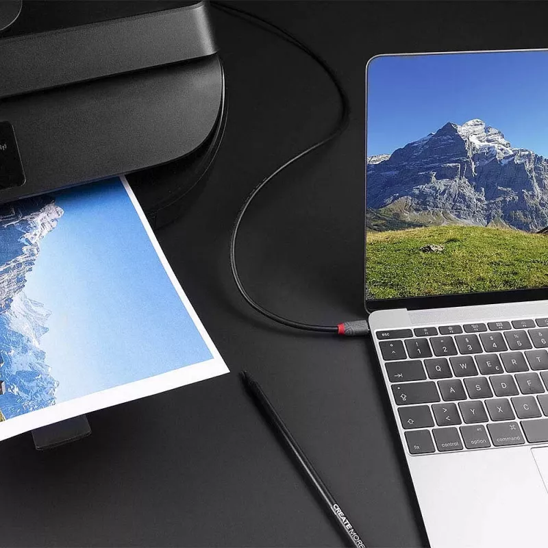 Lindy 2m USB 2.0 Type C to B Cable, Anthra Line, 2 m, USB C, USB B, USB 2.0, 0.48 Gbit/s, Black