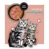 Wet cat food 3coty Turkey with rabbit, 80 g can — complete adult cat feed, protein 20%, fat 9%