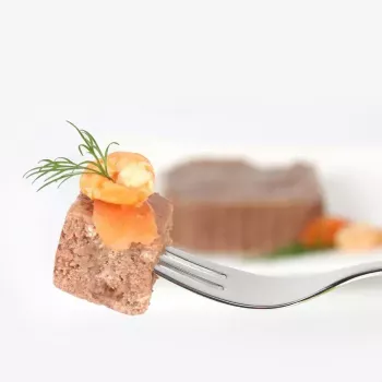 Wet cat food animonda Vom Feinsten Mature Salmon 100 g — adult, tray, gluten- and soy-free