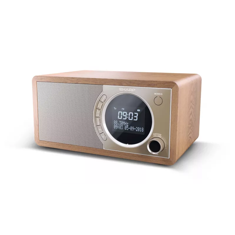 Sharp DR-450 Personal Digital Brown, Stainless steel
