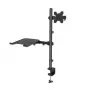 Manhattan Desk Mount for Monitors & Laptop Combo (Full Motion), For screens: 10-27 inch, Laptop up to 17 inch, Clamp Assembly, VESA compatibility: 75x75 and 100x100mm - check the dimensions of the four mounting holes on back of screen to ensure it fits, Max 8kg, Bracket
