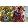 Bosch Serie 4 MSM4W210 blender 0.6 L Immersion blender 600 W Black, White