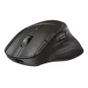 Wireless mouse HP 785M UF Scroll, black, 0.123 kg