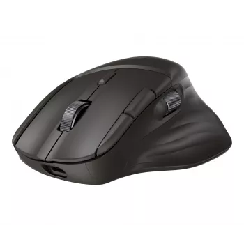 Wireless mouse HP 785M UF Scroll, black, 0.123 kg