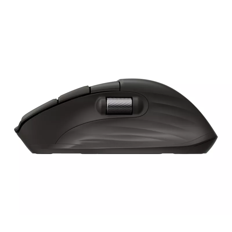 Wireless mouse HP 785M UF Scroll, black, 0.123 kg