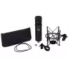 Studio microphone Warm Audio WA-47JR Black