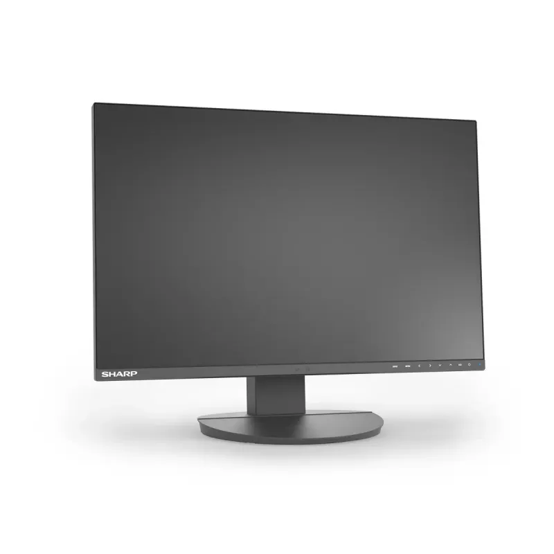 24 inch Sharp MultiSync EA242W LCD monitor IPS 1920 x 1200 16:10 5 ms USB 3.2 hub VESA height-adjustable Black