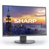 24 inch Sharp MultiSync EA242W LCD monitor IPS 1920 x 1200 16:10 5 ms USB 3.2 hub VESA height-adjustable Black