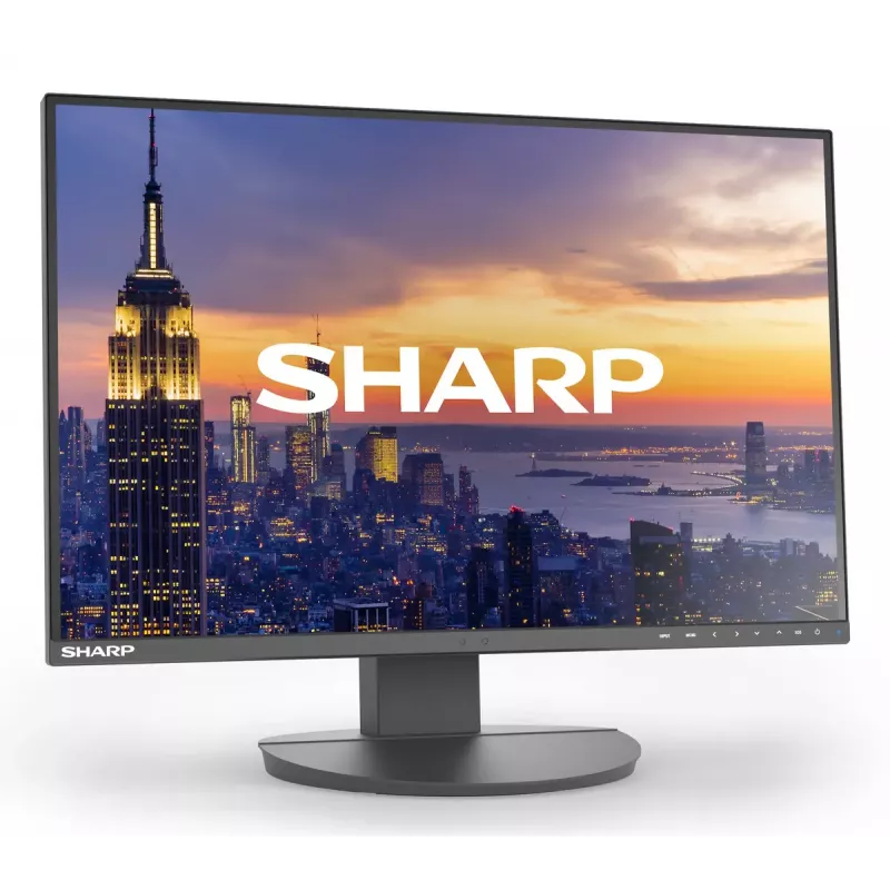 24 inch Sharp MultiSync EA242W LCD monitor IPS 1920 x 1200 16:10 5 ms USB 3.2 hub VESA height-adjustable Black
