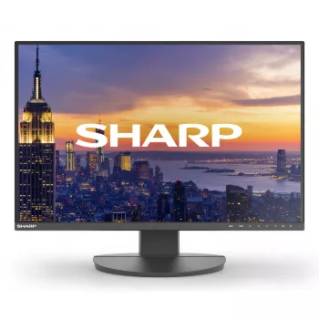 24 inch Sharp MultiSync EA242W LCD monitor IPS 1920 x 1200 16:10 5 ms USB 3.2 hub VESA height-adjustable Black